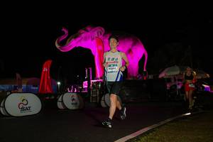 BIB: 
                            <button type="button" onclick="openModal(26543690)" class="btn btn-primary btn-sm float-right btn-popup" data-toggle="modal" data-target=".modal-high-quality">
                        <i class="fas fa-shopping-cart"></i> Add to Cart
                    </button>
                                            <button type="button" onclick="isThisMe(26543690, true)" class="btn btn-success btn-sm float-right btn-popup btn-isme hidden" data-toggle="tooltip" data-placement="bottom" title="นี่คือรูปของคุณใช่ไหม คลิกที่นี่เพื่อเอาเข้าอัลบั้ม">
                        <i class="fas fa-plus"></i> Add to album
                    </button>
                    <button type="button" onclick="isThisMe(26543690, false)" class="btn btn-warning btn-sm float-right btn-popup btn-isnotme hidden">
                        <i class="fas fa-ban"></i> Remove from album
                    </button>